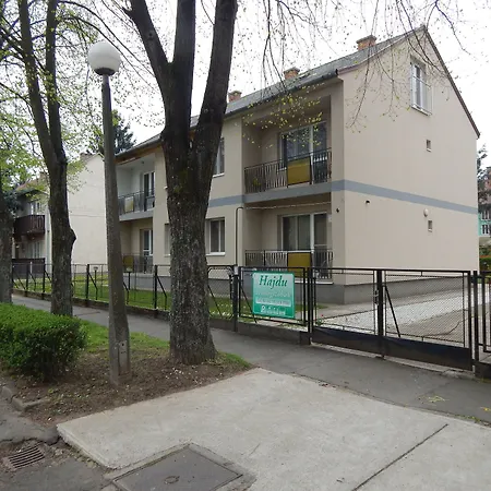 Hajdu Vendeghaz Pensionat 3*