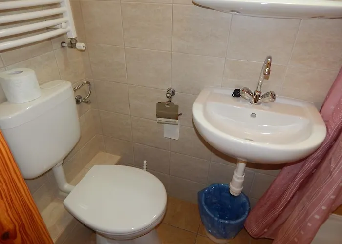 Hajdu Vendeghaz Pensjonat 3*